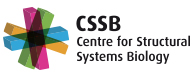 CSSB